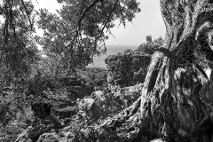Landscape Lykos I.