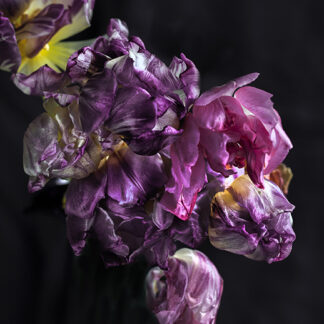 Baroque Diagonal (Hochformat)