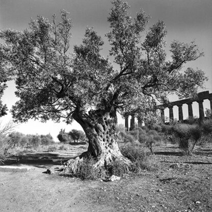 Agrigento (Quadrat)