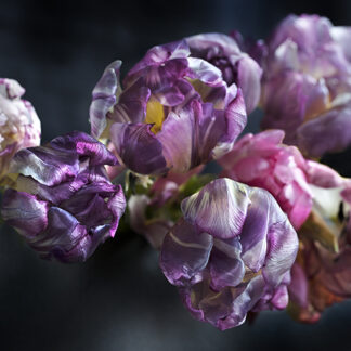 Baroque Dynamics (Querformat)