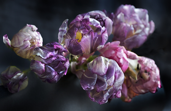 Baroque Dynamics (Querformat)