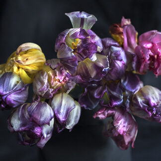 Baroque Playful (Querformat)