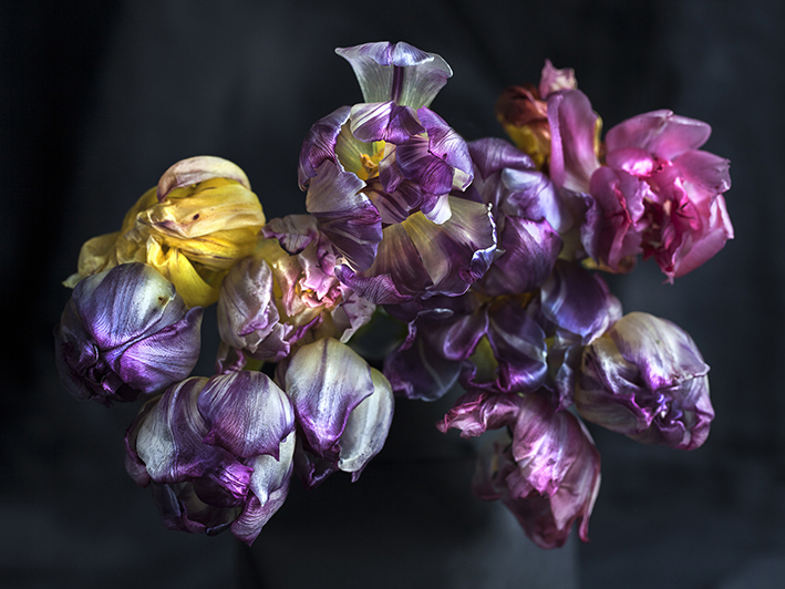 Baroque Playful (Querformat)